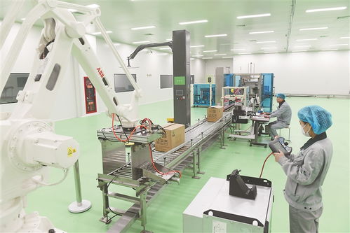 牡丹江民营经济发展进入快车道 技术服务驱动新动能